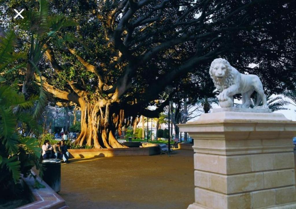 The Terrace Canalejas Alicante Bagian luar foto